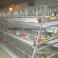 Broiler Poultry Farm Equipment Chicken Cage From China